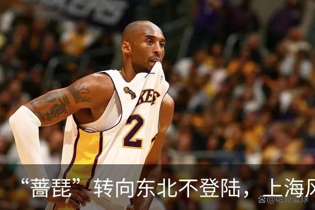 “蔷琵”转向东北不登陆，上海风雨降温接踵而至