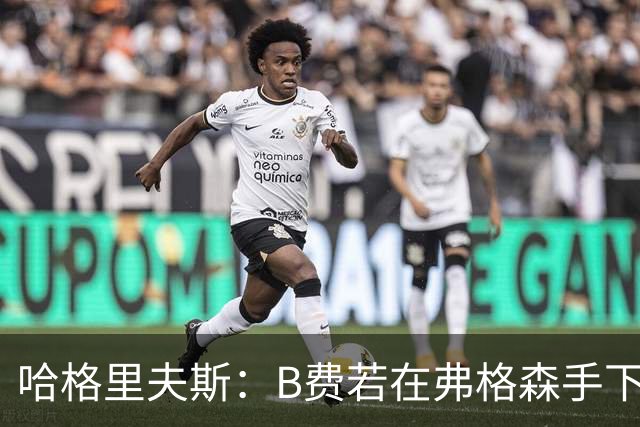 哈格里夫斯：B费若在弗格森手下说这话，就没机会再上场了