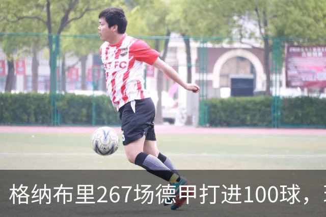 格纳布里267场德甲打进100球，现役德甲球员中第三位百球先生