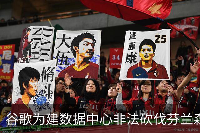 谷歌为建数据中心非法砍伐芬兰森林25万棵树，狼群被迫进村觅食
